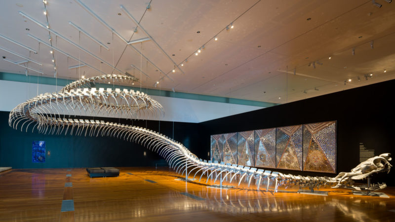 Huang Yong Ping - Ressort 2012, Aluminium, stainless steel, Queensland Gallery of Modern Art, Australia