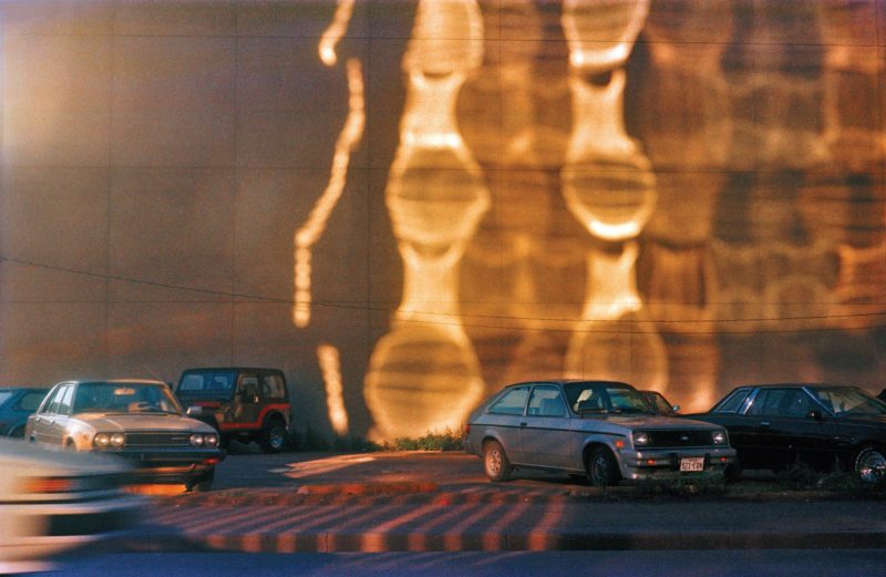 William Eggleston - The Democratic Forest