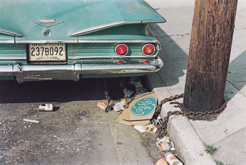 William Eggleston - The Democratic Forest, Louisiana, 1971-1974, from the series Los Alamos, 1965-1974