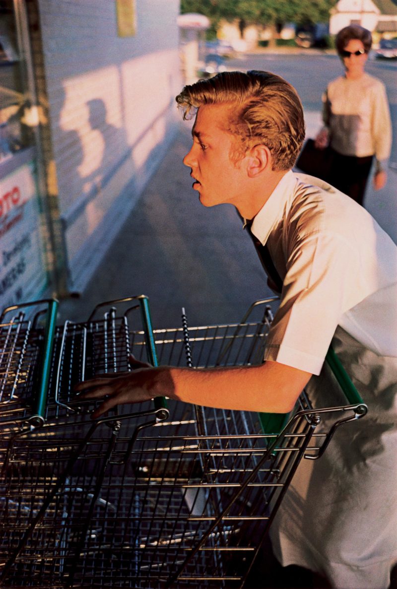 William Eggleston - The Democratic Forest, Memphis, 1965, from the series Los Alamos, 1965-1974