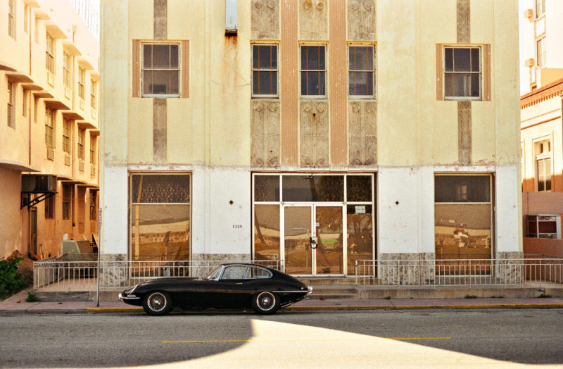 William Eggleston – The Democratic Forest