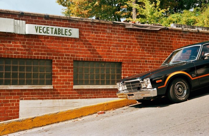 William Eggleston – The Democratic Forest.