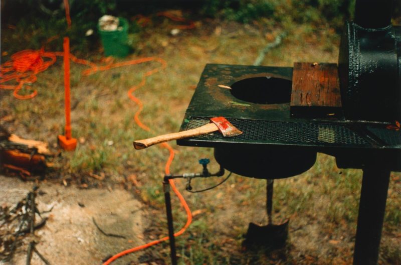 William Eggleston – The Democratic Forest.