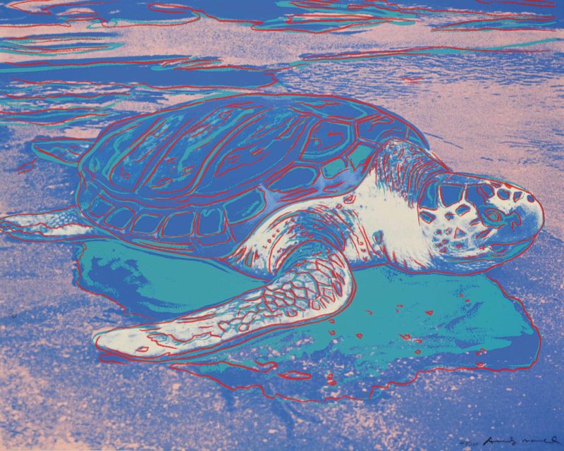 Andy Warhol - Turtle, 1985, 77,5 x 100 cm (31½ x 39 3/8 in.)