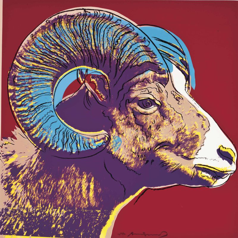 Andy Warhol – Bighorn Ram, 1983, from Endangered Species, screenprint, 96,5 x 96,2 cm (38 x 37 7/8 in.)