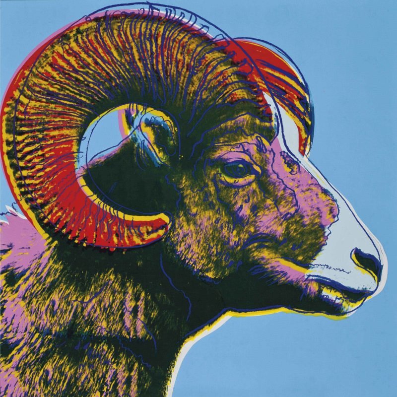 Andy Warhol – Bighorn Ram, 1983, from Endangered Species, synthetic polymer and silkscreen inks on canvas, 152.4 x 152.4 cm (60 x 60 in.)