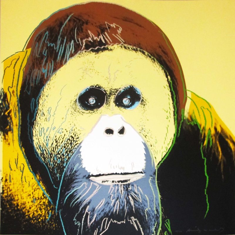 Andy Warhol – Orangutan, 1983, from Endangered Species, screenprint, 96,5 x 96,2 cm (38 x 37 7/8 in.)