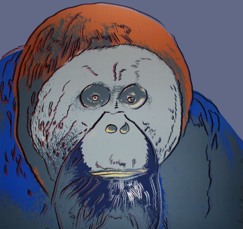 Andy Warhol – Orangutan, 1983, from Endangered Species, screenprint, 96,5 x 96,2 cm (38 x 37 7/8 in.), proof