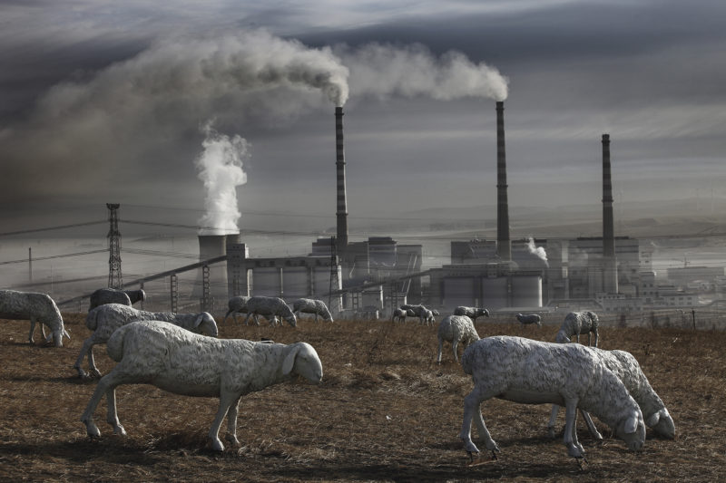 Lu Guang - Due to the vast exploitation of coal mines, Holingol’s meadows have been destroyed, now bereft of cattle and sheep