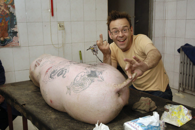 Pigs tattooed with the trademarked pattern of French luxury brand Louis  Vuitton are seen at a farm on the outskirts of Beijing Saturday, July 30,  2005. A Belgian artist Wim Delvoye has