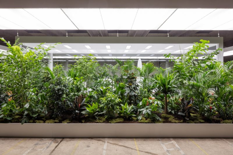 Doug Aitken - The Garden, ARoS Museum Triennial 2017, Aarhus, Denmark