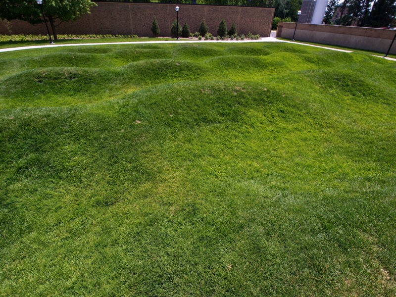 Maya Lin - Wave Field, 1995, Earth, Grass, 10,000 sq. ft, Courtyard, SE side of Francois-Xavier Bagnoud Building, University of Michigan, Ann Arbor