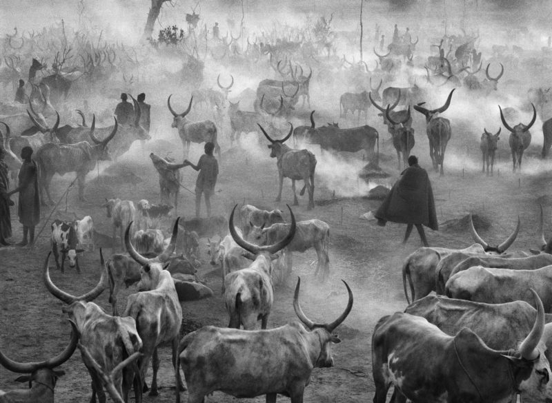 Sebastião Salgado - Dinka Cattle Camp, Southern Sudan, 2006