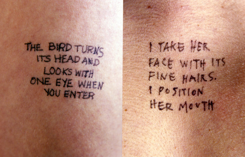 Jenny Holzer - Lustmord - The bird turns its head and looks with one eye when you enter & I take her face with its fine hairs. I position her mouth, 1993-1994, ink on skin