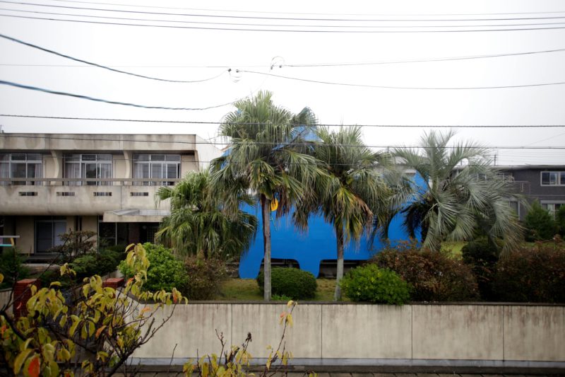 Takehiro Ikawa - Decoratorcrab - Mr.Kobayashi The Blue Cat, 2017, wood, fluorescent paint 850 cm × 1100 cm, Uminaka Taiyoso AIR, Fukuoka, Japan