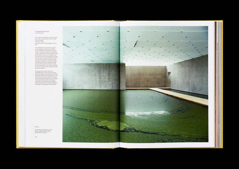 Olafur Eliasson - The mediation motion, in Experience by Phaidon