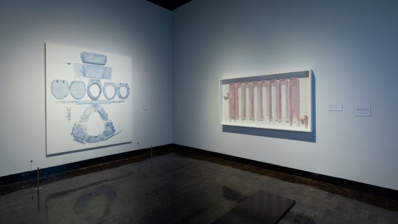 Do Ho Suh - Specimens, Oct. 12, 2018 - Jan. 6, 2019, Installation view, Frist Art Museum, Nashville, photo John Schweikert