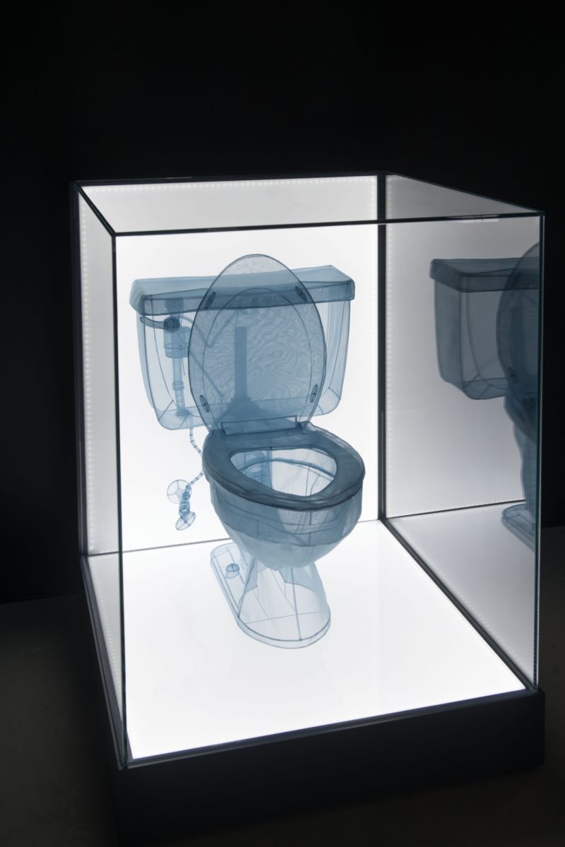 Do Ho Suh – Toilet, 2013, polyester fabric, stainless steel wire, display case, LED lighting, 34 x 150.1 x 76.5 cm (13.4 x 59.1 x 30.1 inches)