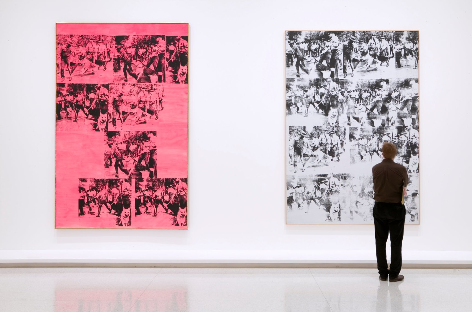 Andy Warhol - Race Riot, 1963; Pink Race Riot, 1963, installation view, Wal...