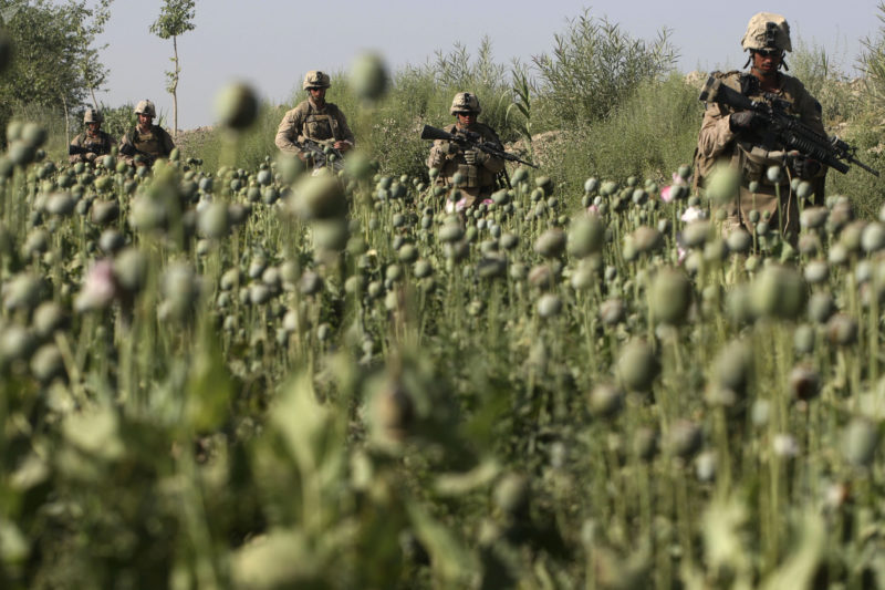 David Guttenfelder – Afghanistan - U.S. Marines, from the 24th Marine Expeditionary Unit, pass by a poppy field