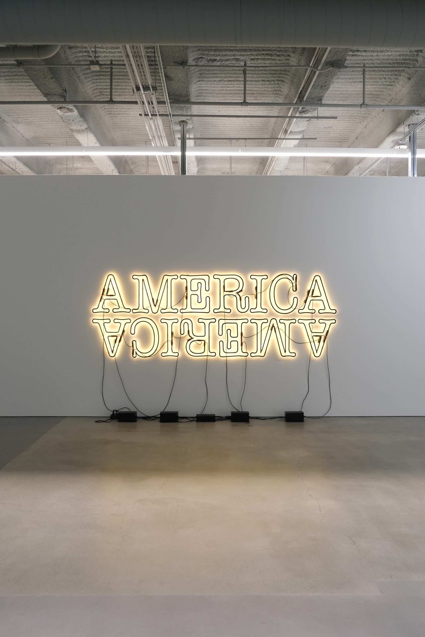 Why did Glenn Ligon create his Double America neon work?