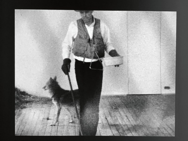 Joseph Beuys - I Like America and America Likes Me, 1974, installation view, Jeder Mensch ist ein Künstler (Every human is an artist), K20, Düsseldorf, 2021