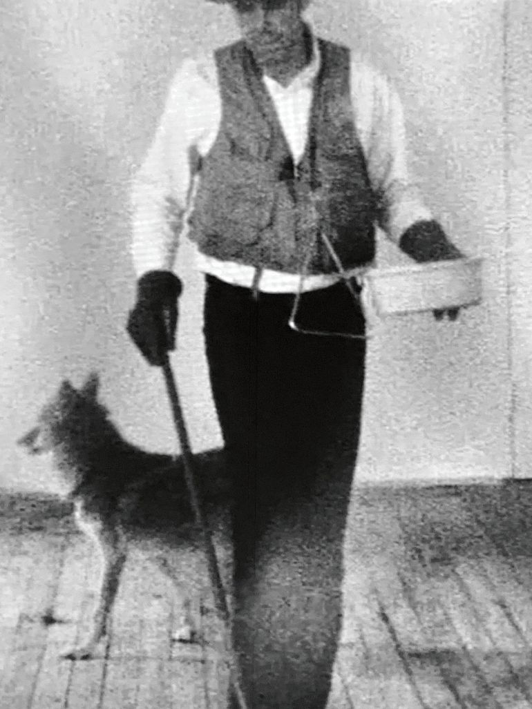 Joseph Beuys locked in with a Coyote - I like America