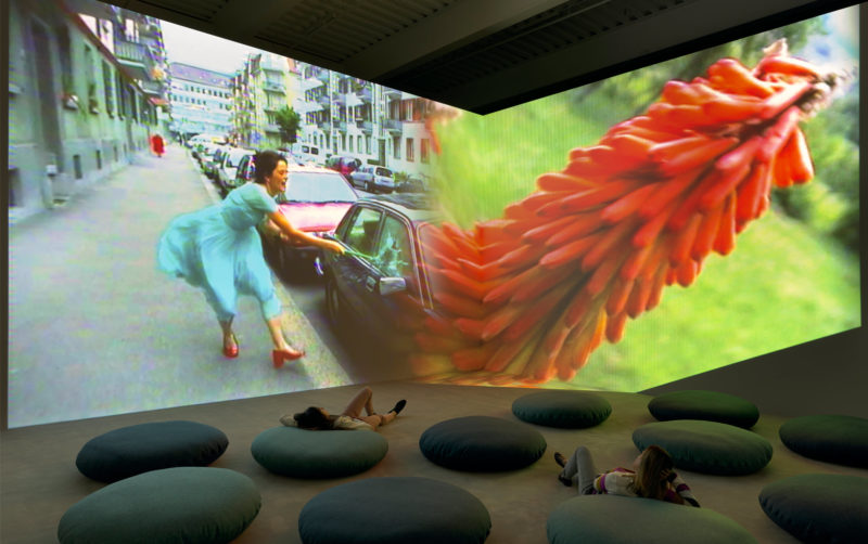 Pipilotti Rist - Ever Is Over All, 1997, audio video installation, Glenstone Museum, 2019