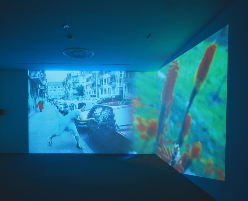 Pipilotti Rist - Ever Is Over All, 1997, audio video installation, Museum of Modern Art, New York, Aug 30, 2006 – Apr 9, 2007