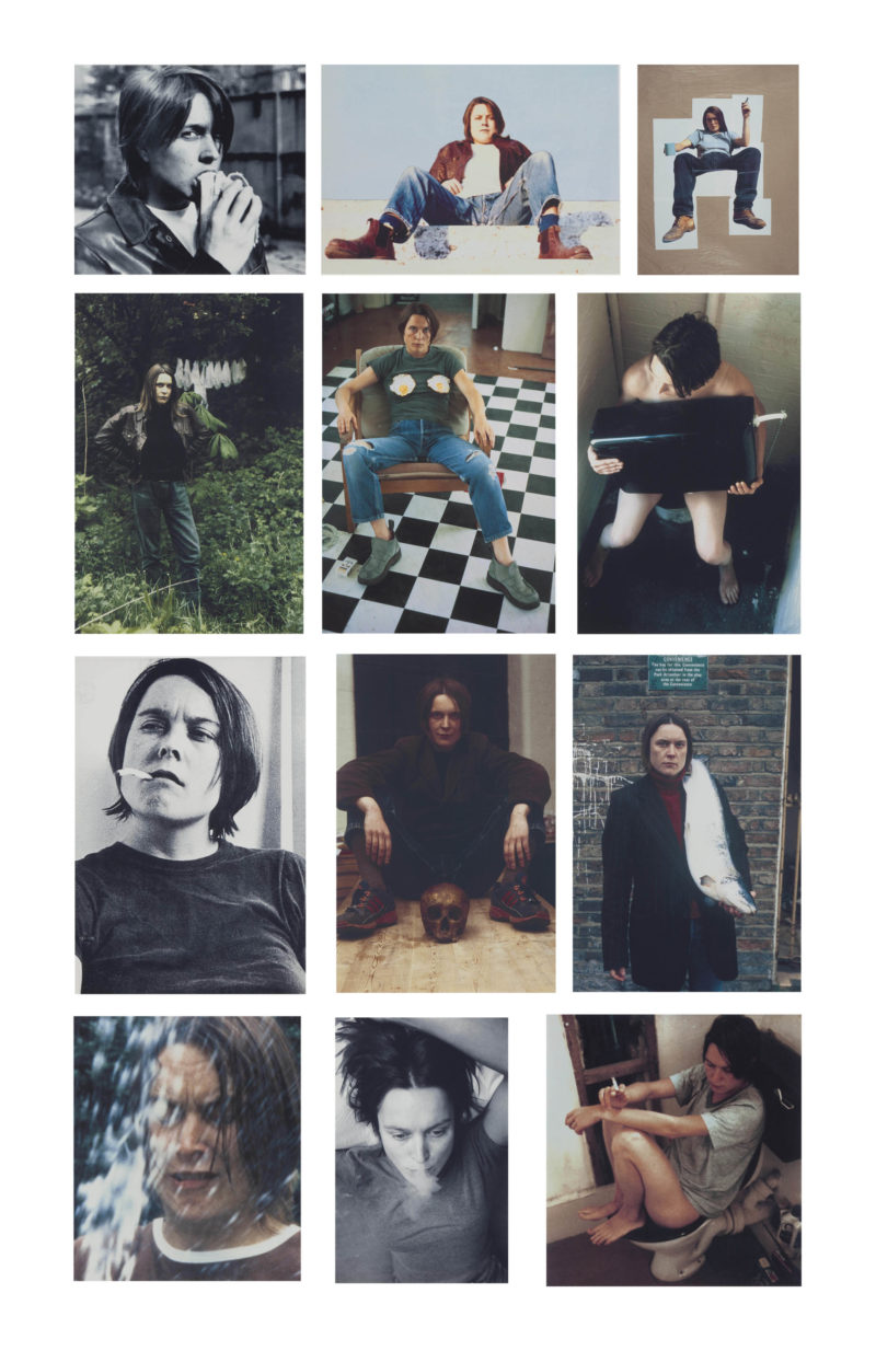 Sarah Lucas - Self Portraits overview