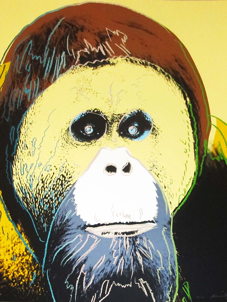 Andy-Warhol-–-Orangutan-1983-from-Endangered-Species-screenprint-965-x-962-cm-38-x-37-78-in.- feat