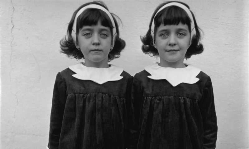 Diane Arbus - Identical Twins, Roselle, New Jersey, 1967 teaser