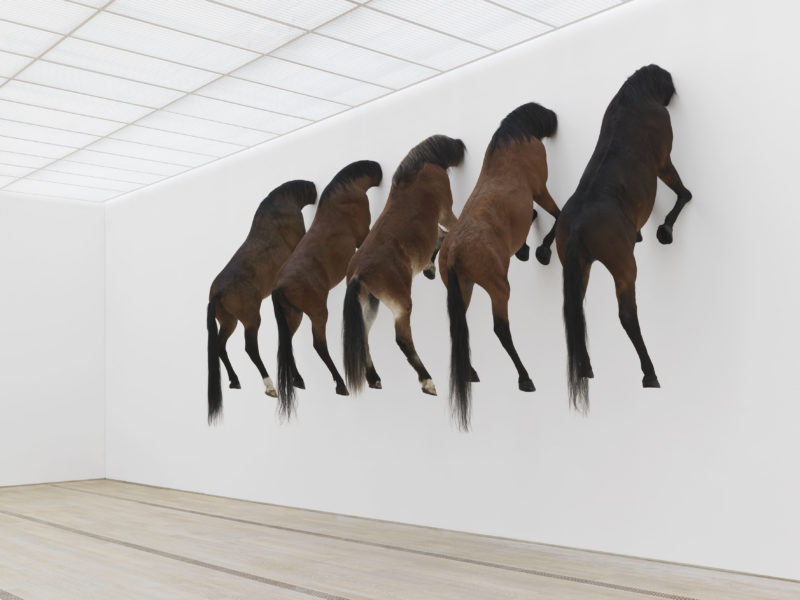 Maurizio Cattelan – Untitled, taxidermied horses, Fondation Beyeler, Serge Hasenböhler