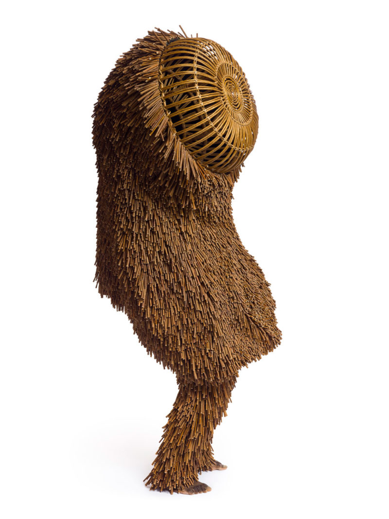 Nick Cave - Soundsuit, 2011