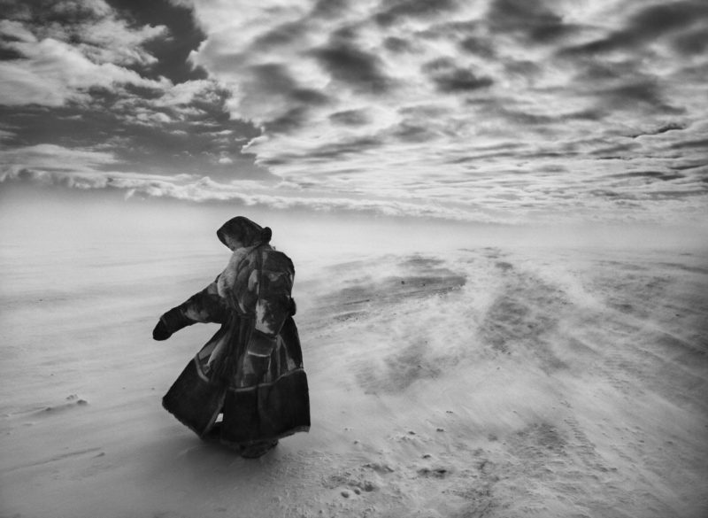 Sebastião Salgado - Woman on the Yamal Peninsula, Siberia, 2011