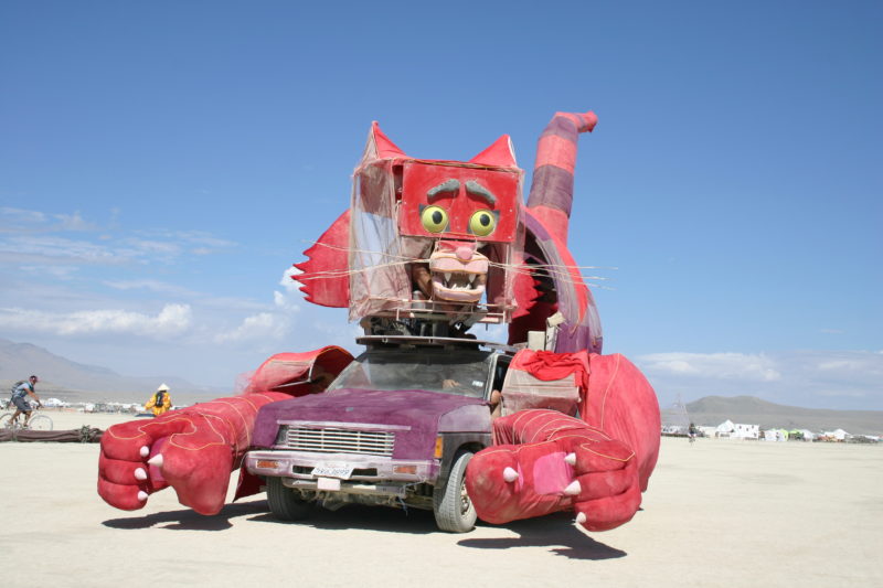 猫车，燃烧的人，2007年