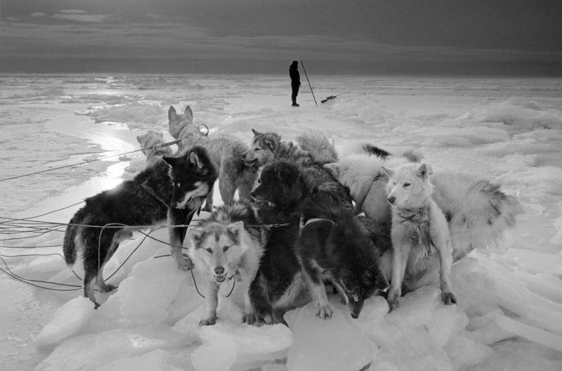 Ragnar Axelsson - Last Days of the Arctic