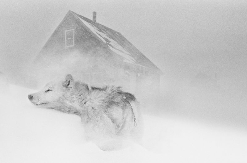 Ragnar Axelsson - Last Days of the Arctic