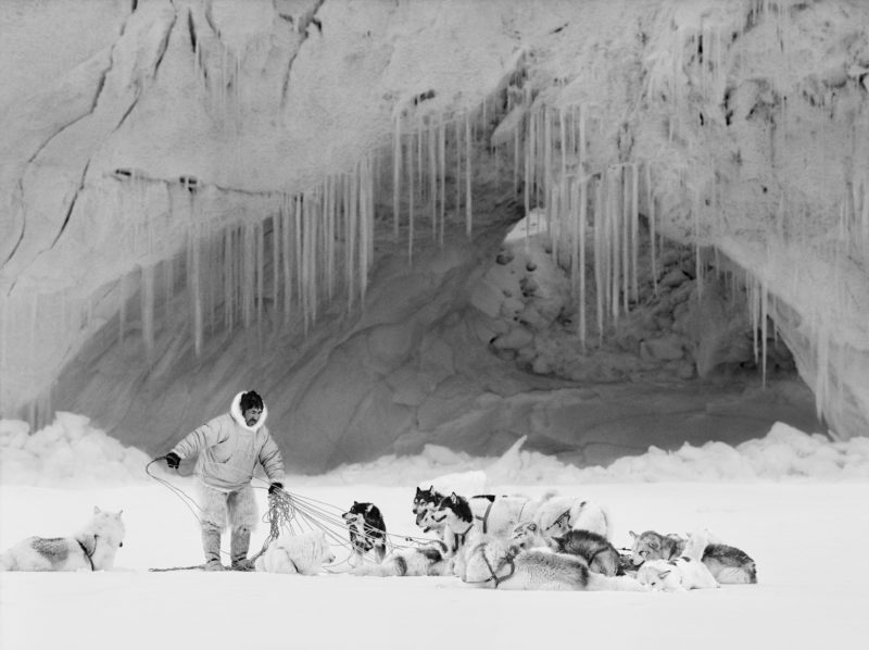 Ragnar Axelsson - Last Days of the Arctic - Hunter Mikide Kristiansen fixing his dogs on the ice in Thule (Inglefield fjord)