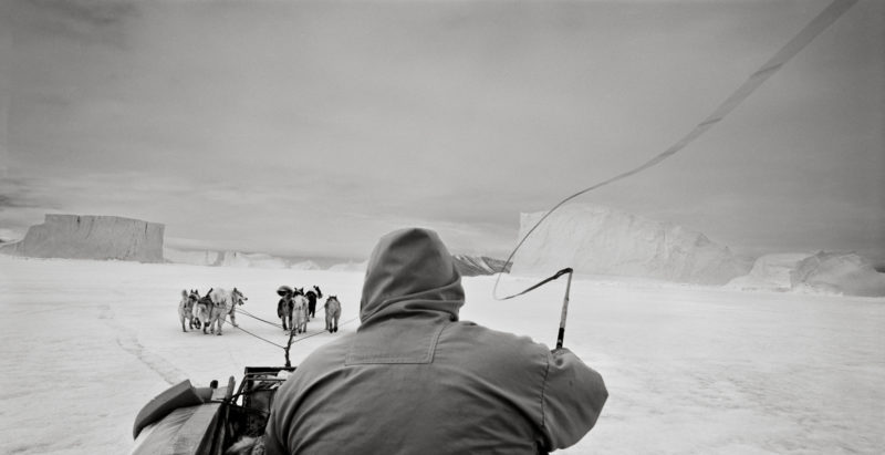 Ragnar Axelsson - Last Days of the Arctic - Hunter cracking his whip on his dog sled, Greenland