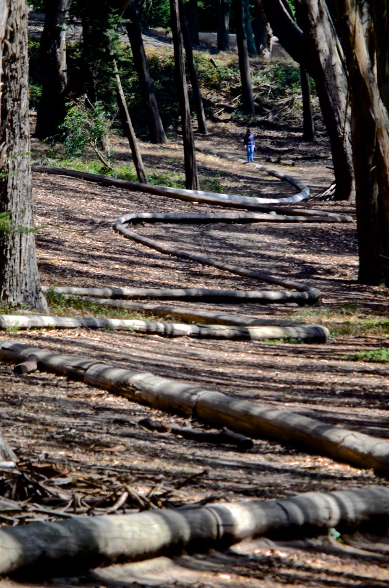 Andy Goldsworthy – Wood Line, 2011, eucalyptus branches, 365 meter (1,200 foot), Presidio, San Francisco