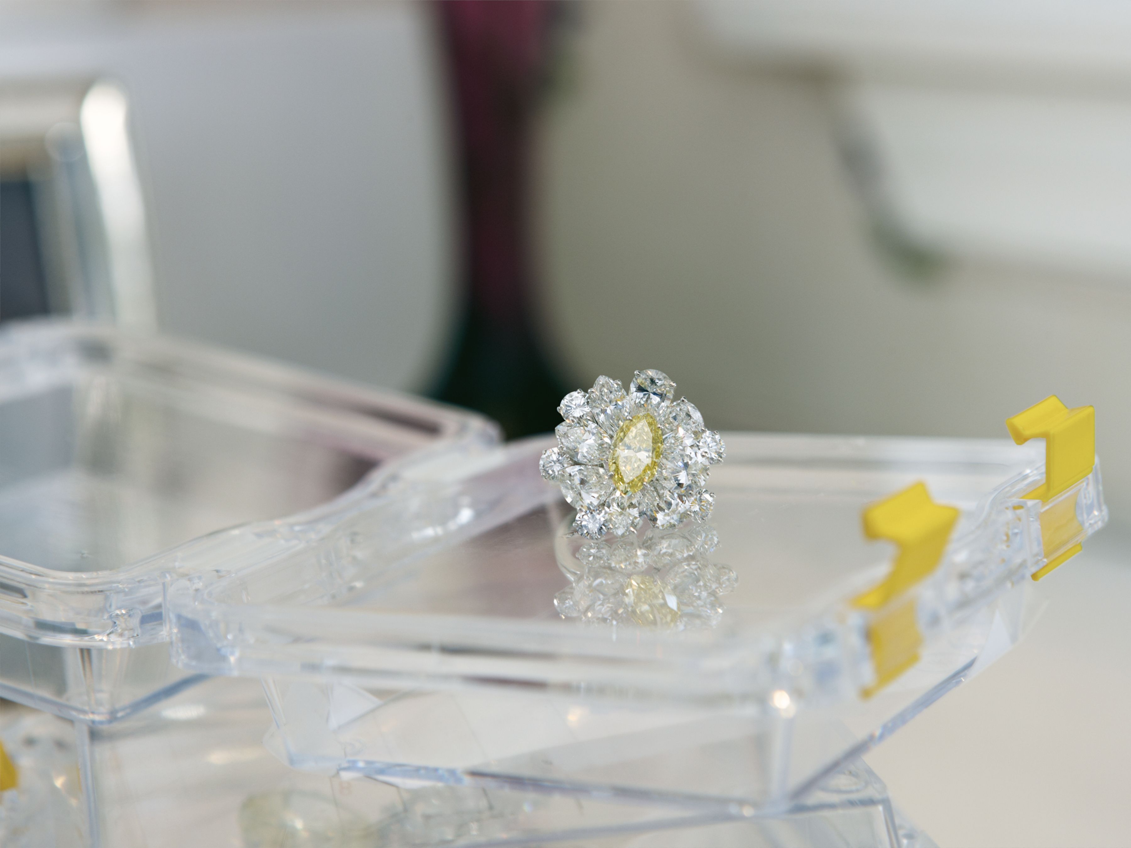 Catherine Opie takes us inside of Elizabeth Taylor’s extravagant house