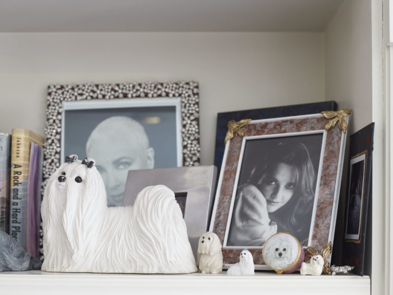 Catherine Opie – Bedroom Shelf, from 700 Nimes Road, Elizabeth Taylor's home