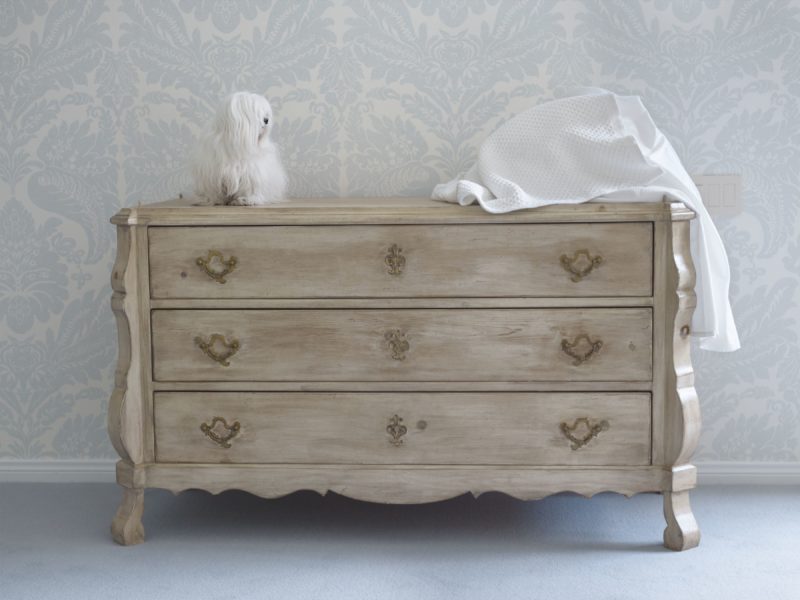 Catherine Opie – Delilah on Dresser, from 700 Nimes Road, Elizabeth Taylor's home