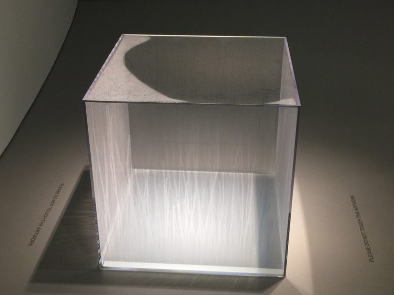 What makes Hans Haacke’s Condensation Cube timeless?