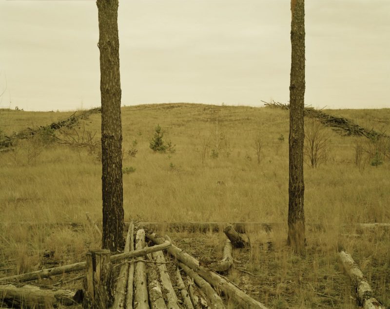 Nadav Kander - Radioactive Logs, Pripyat, 2004