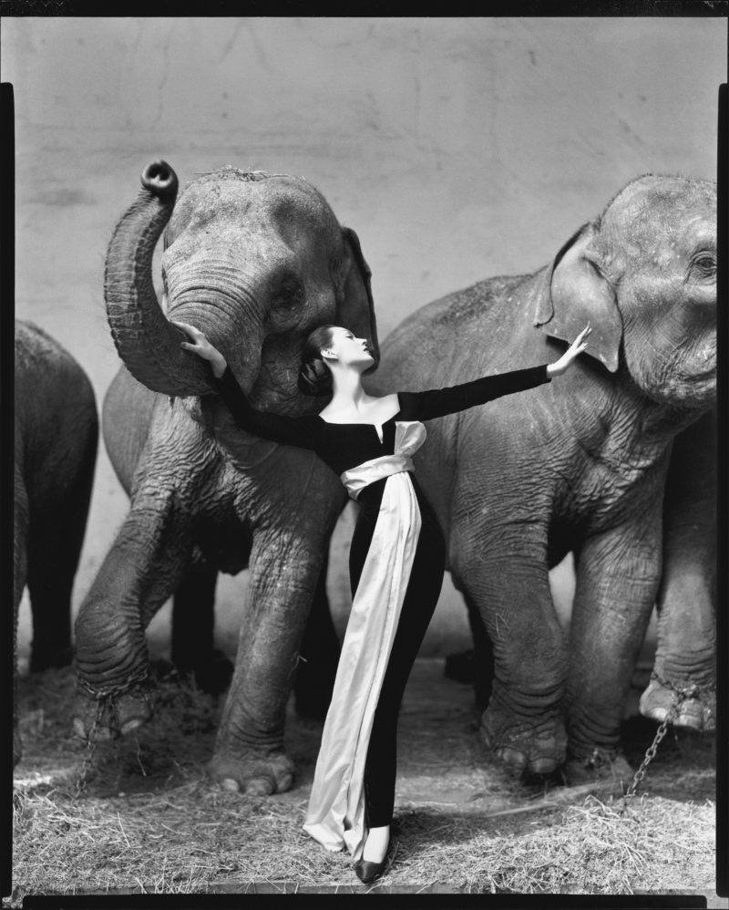 Richard Avedon - Dovima with elephants, evening dress by Dior, Cirque d’Hiver, Paris, August, 1955