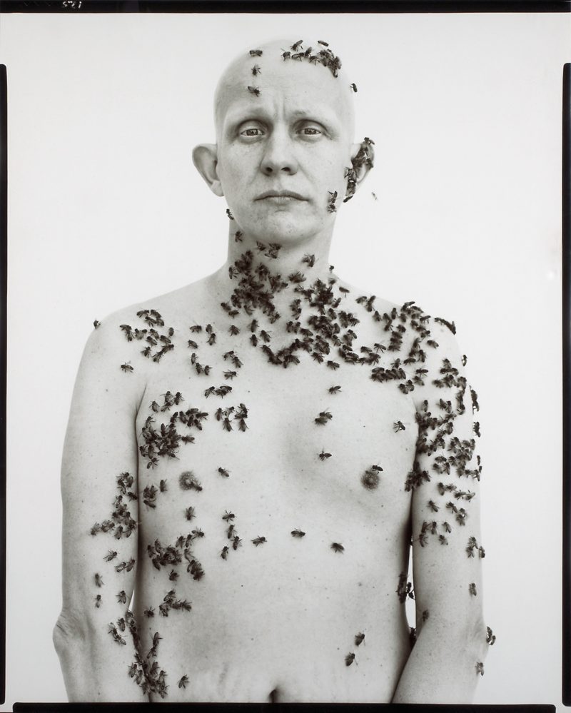 Richard Avedon - Ronald Fisher, Beekeeper, Davis, California, May 9, 1981, printed 1985