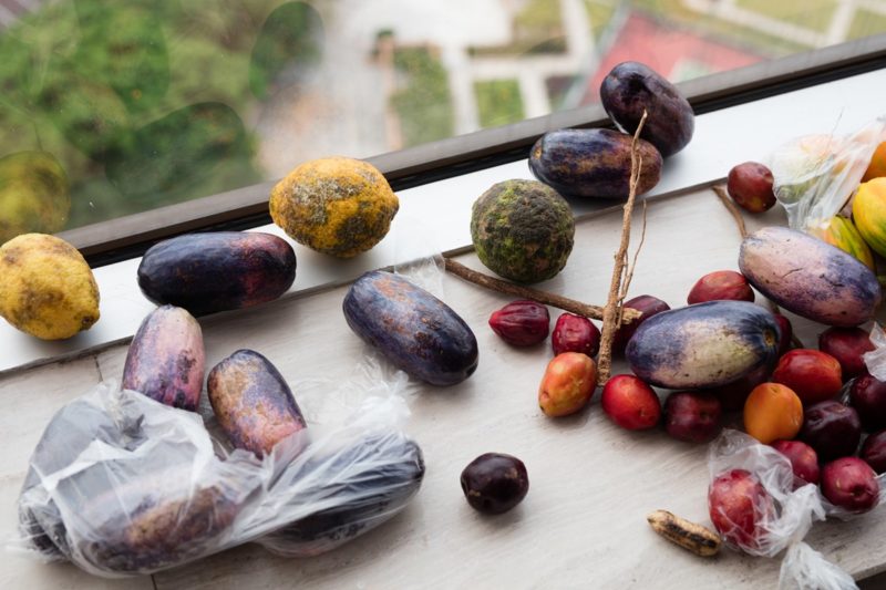 Wolfgang Tillmans - Kinshasa still life, 2018