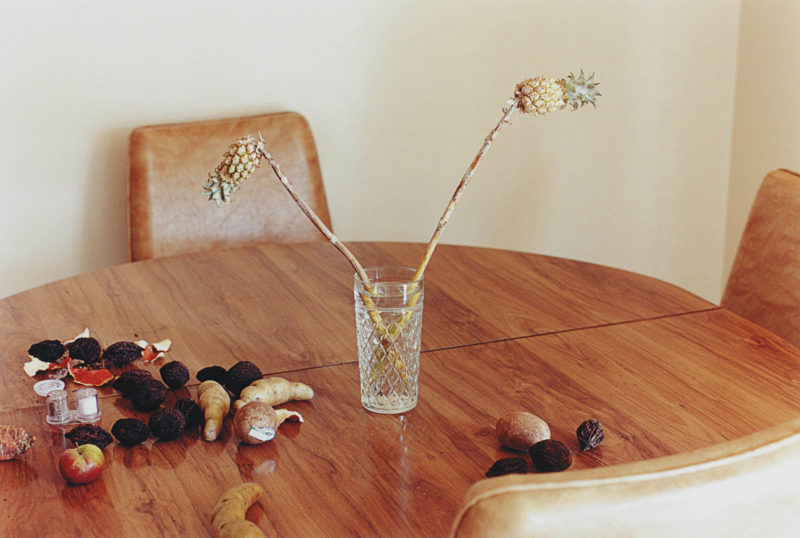 Wolfgang Tillmans - L.A. Still Life, 2001